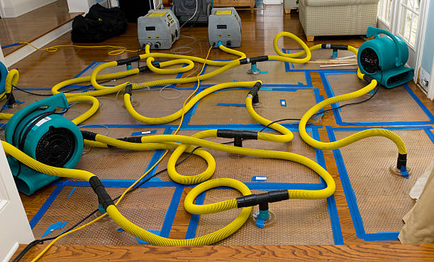 Professional Structural Drying And Dehumidification technician working in Holyoke, MA